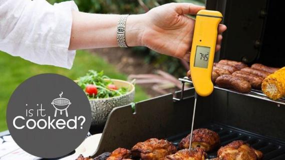 Best Thermometers for Your BBQ