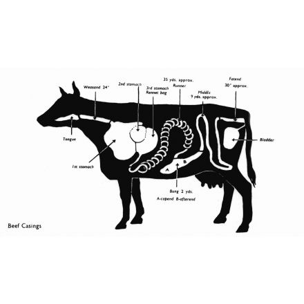 Butcher Pack Beef Cap / Ox-Bung Casings (x 20)