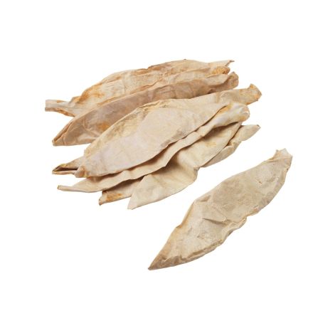 Beef Bladders 35/40cm (5)