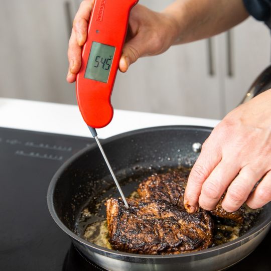 ETI Gourmet Thermometer - meat thermometer